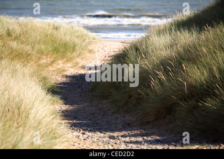 Weg zum Strand Montrose Scotland UK Stockfoto