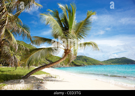 Inselparadies Strand private exklusive Mustique karibische Palmen abgeschieden keine Menschen Himmel Sand Meer verlassene Sonne Meer Hängematte blau Stockfoto