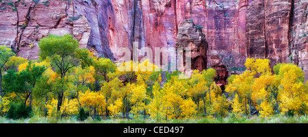 Die Kanzel und Herbst Farbe am Temple of Sinawava. Zion Nationalpark, Utah Stockfoto