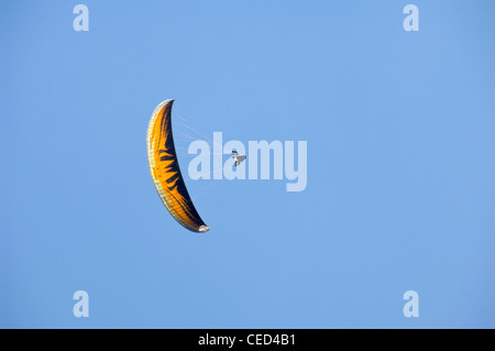 Horizontale Ansicht eines Gleitschirms mit einem leuchtend gelben Baldachin in den Himmel. Stockfoto