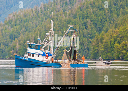 Lachsfischen Ringwaden, Sitka, Alaska Stockfoto