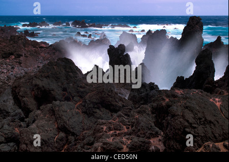 Brechenden Wellen an Laupahoehoe Stelle. Hawaii, Big Island. Stockfoto