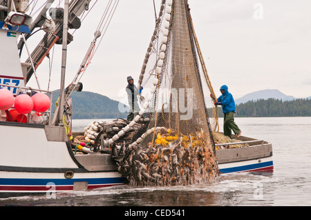 Lachsfischen Ringwaden, Sitka, Alaska Stockfoto