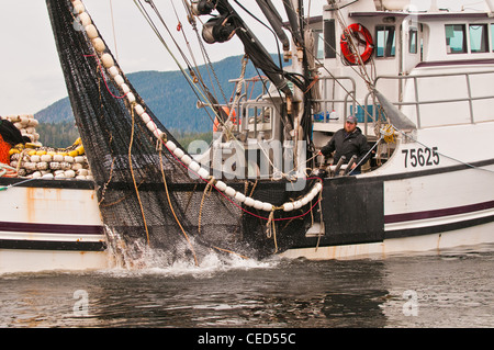 Lachsfischen Ringwaden, Sitka, Alaska Stockfoto