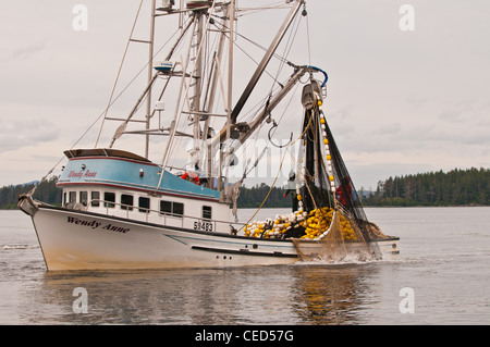 Lachsfischen Ringwaden, Sitka, Alaska Stockfoto