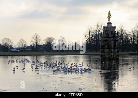 Der Diana-Brunnen Teich im Winter eingefroren. Bushy Park Hampton SW London England UK Stockfoto