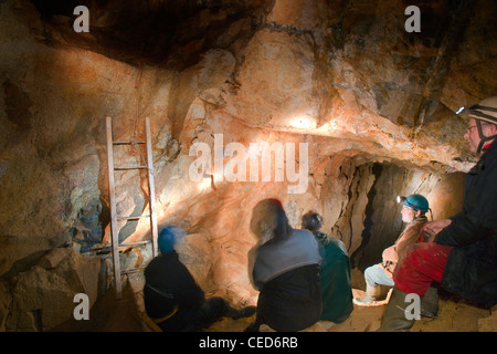 Höhle in Cornwall, wo größere ganz Fledermäuse Schlafplatz; Gruppe in den alten Bergbau-Werken Stockfoto