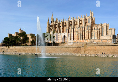 La Seu Kathedrale und Wahrzeichen von Palma, Avinguda de Gabriel Roca, Palma de Mallorca, Mallorca, Balearen, Spanien, Europa Stockfoto