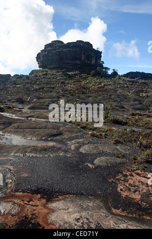 Die seltsame Landschaft nahe dem Gipfel (El Carro) des Mount Roraima (Tepui) in Venezuela. Der Gipfel ist in der Ferne. Stockfoto