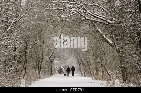 Ehepaar und ihr Hund mit einem Winter Spaziergang im Schnee Market Weighton Railway Line Stockfoto