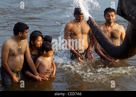 Aktivitäten am Tungabhadra Fluss in Hampi. Lakshmi Elefant baden Menschen in den frühen Morgenstunden, Karnataka, Indien Stockfoto