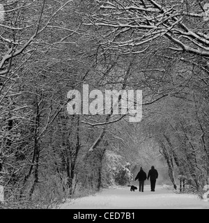 Ehepaar und ihr Hund mit einem Winter Spaziergang im Schnee Market Weighton Bahnlinie Stockfoto