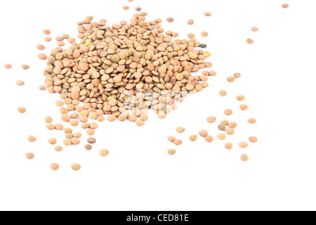 Linsen Stockfoto