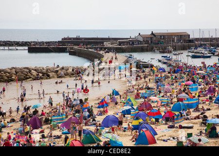 Die Cobb Gate Fish Bar und im Rock Point Inn bei Lyme Regis, Dorset, England. Stockfoto