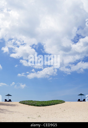 Traumstrand mit Sonnenliegen und ein grünes Herz aus Pflanzen, Phuket, Südthailand, Thailand, Südostasien Stockfoto