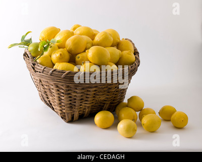 Zitronen überfüllt in Korb Stockfoto