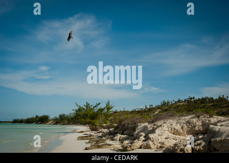 Playa Pilar in Cayo Guillermo Stockfoto