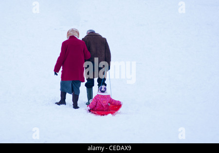 Ein nettes altes Ehepaar ziehen ihre Enkelin entlang der Schnee in Cambridge, England. Stockfoto