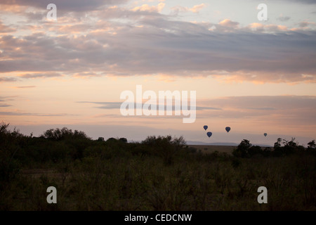 Kenia - Masai Mara Wildreservat - frühen Morgen Landschaft Stockfoto
