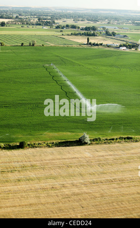 Eine Luftaufnahme von Ackerland und Pivot Sprinklern Bewässerung der Felder. Stockfoto