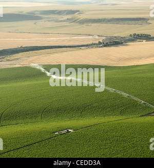 Eine Luftaufnahme von Ackerland und Pivot Sprinklern Bewässerung der Felder. Stockfoto