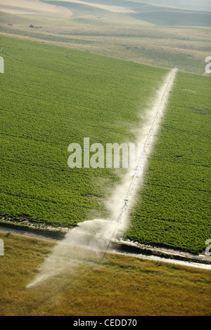 Eine Luftaufnahme von Ackerland und Pivot Sprinklern Bewässerung der Felder. Stockfoto