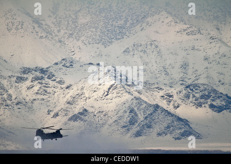 US Army CH-47 Chinook schwere abheben Helikopter nimmt aus einer verschneiten Landschaft Februar 4, 2012 von Bagram Air Field, Afghanistan. Die Chinooks sind das primäre "Arbeitspferd" zu allen Jahreszeiten in Afghanistan zur Unterstützung der Kriegsanstrengungen der USA. Stockfoto