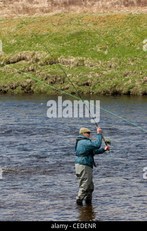 Man Lachs Angeln im Fluss Oykel, Sutherland, Schottland Stockfoto