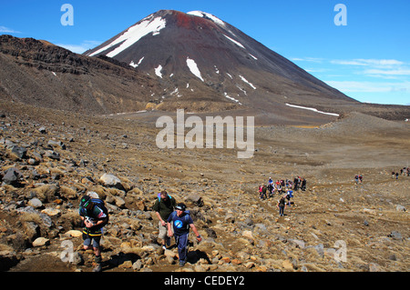 Wanderer auf der Tongariro Alpenübergang, Neuseeland mit Ngauruhoe jenseits Stockfoto