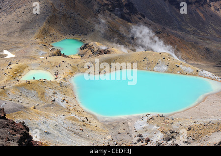 Die Emerald Lakes auf der Tongariro Alpenübergang auf Neuseelands Nordinsel Stockfoto