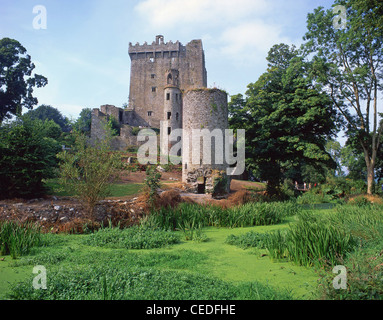 Burg halten und Turm, Blarney Castle, Blarney, County Cork, Irland Stockfoto