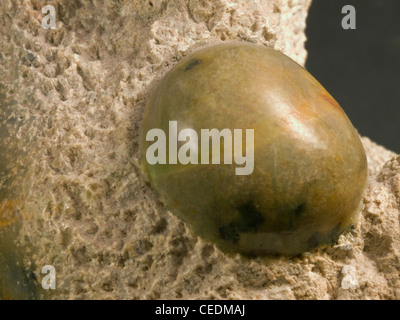 abstrakten Detail einer Speckstein Skulptur geschnitzt von mir Stockfoto