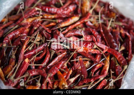 Nahaufnahme von roten Paprika Stockfoto