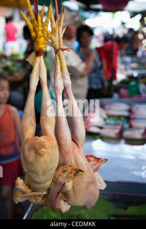 Rohe Hühner hängen im Markt Stockfoto