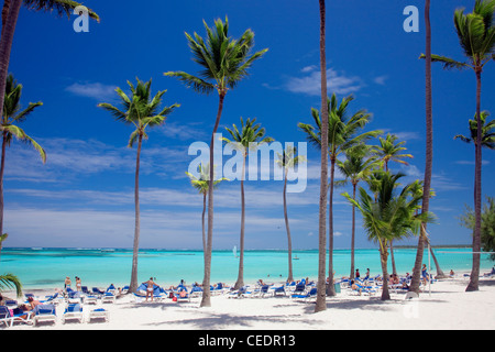 Dominikanische Republik, Costa del Coco, Bavaro-Strand-Szene mit Palmen Stockfoto