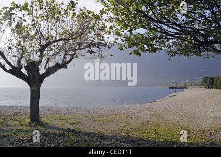 Italien, Idrosees (Idrosee) Bondone Strand Stockfoto