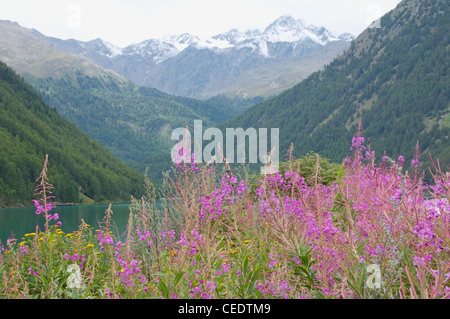 Italien, Trentino-Alto Adige, Val Senales, Vernago (Vernagt) See und Berge Stockfoto