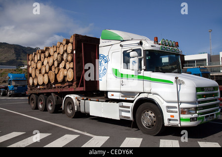 Geladen Scania Lkw mit Eukalyptus Holz geschnitten; der neue Hafen von Caniçal, auf Madeira Shipping Services Cargo & Fracht Anhänger für den Export. Stockfoto