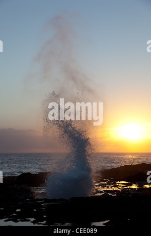 Untergehende Sonne beleuchtet Auslauf von Wasser aus Lavafelsen an der Küste von Kauai Stockfoto