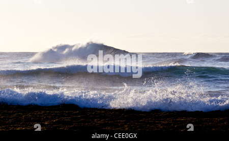 Wellen am Riff von Kauai vor Kee beach Stockfoto