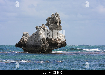 Sphynx wie Felsformation am Strand bei Cosy Corner bei Kap zu Kap Leeuwin Naturaliste National Park Australien Stockfoto