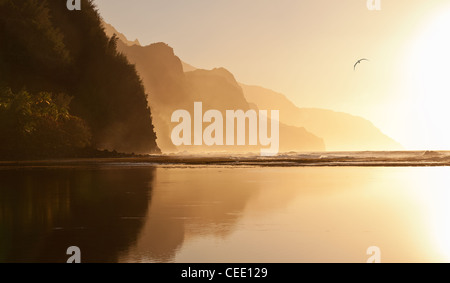 Albatros schweben über die Na Pali Küste Ke'e Strand in Kauai bei Sonnenuntergang Stockfoto