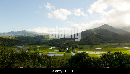 Breites Panorama der Hanalei Valley auf der Insel Kauai in sehr hoher Auflösung Stockfoto