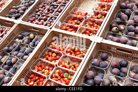 Obst stall Richmond Farmers market Stockfoto