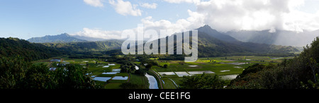 Breites Panorama der Hanalei Valley auf der Insel Kauai in sehr hoher Auflösung Stockfoto