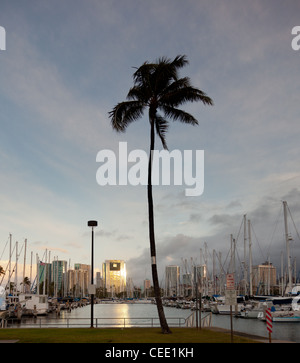 HONOLULU, HI - Januar 15: Reflexionen aus die Innenstadt von Honolulu und Hawaiki Turm am 15. Januar 2012. Hawaiki Turm hat 46 Geschichten und 400 Fuß steigt. Stockfoto