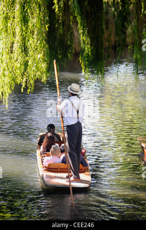 Besucher genießen eine punting Erfahrung auf einem Kahn auf dem Avon River im Zentrum von Christchurch, Neuseeland Stockfoto