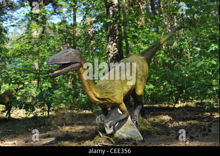 Leben Größe Statue von Velociraptor in Waldlandschaft Stockfoto