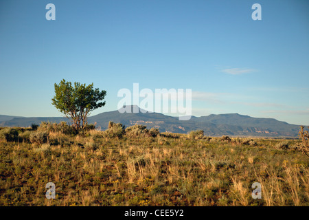 In der Nähe von Ghost Ranch off Highway 84 nördlich von Albiquiu. In der Nähe von Mile Marker 224 Stockfoto