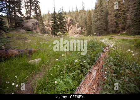 Jemez Flussgebiet off Highway 4 in Jemez Bergen Stockfoto